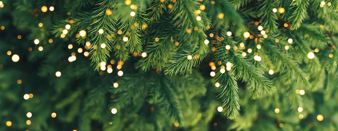 Christbaum-Workshop