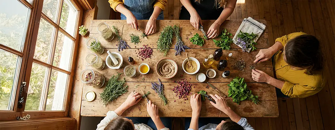 Kräuter Workshop Wien – Die Welt der Naturkosmetik und Kräuterverarbeitung