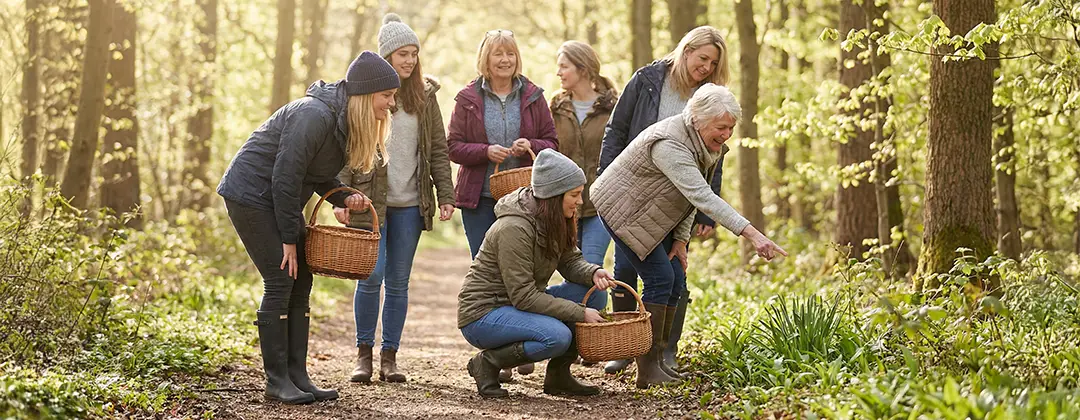 Kräuterwanderung Wien: Entdecke die verborgenen Schätze der Wiener Natur